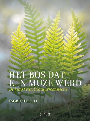 Het bos dat een muze werd