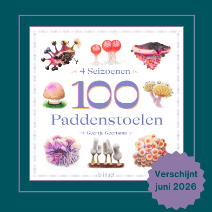 Afbeelding nieuwsbericht 4 seizoenen, 100 paddenstoelen